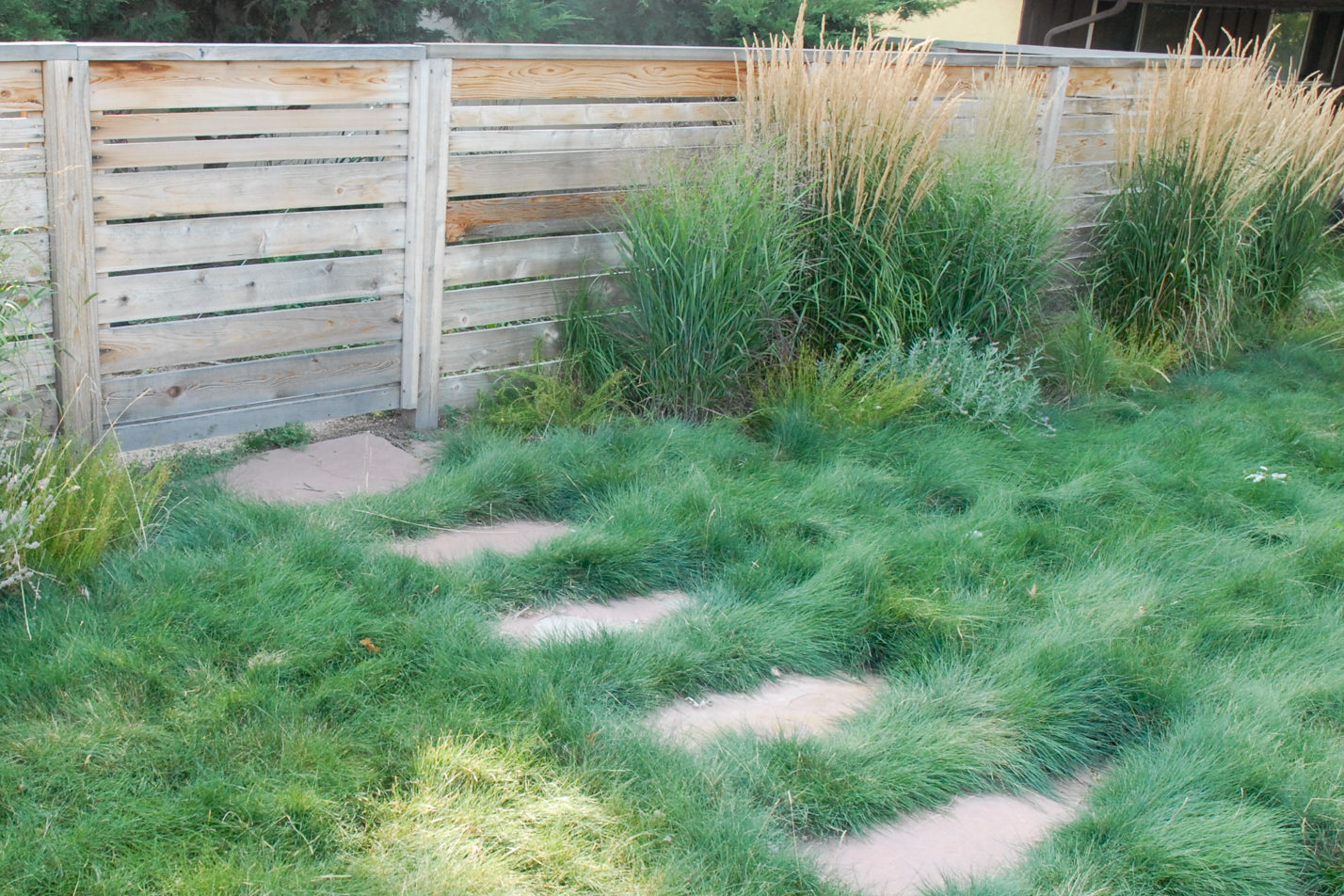 Contemporary Xeriscape